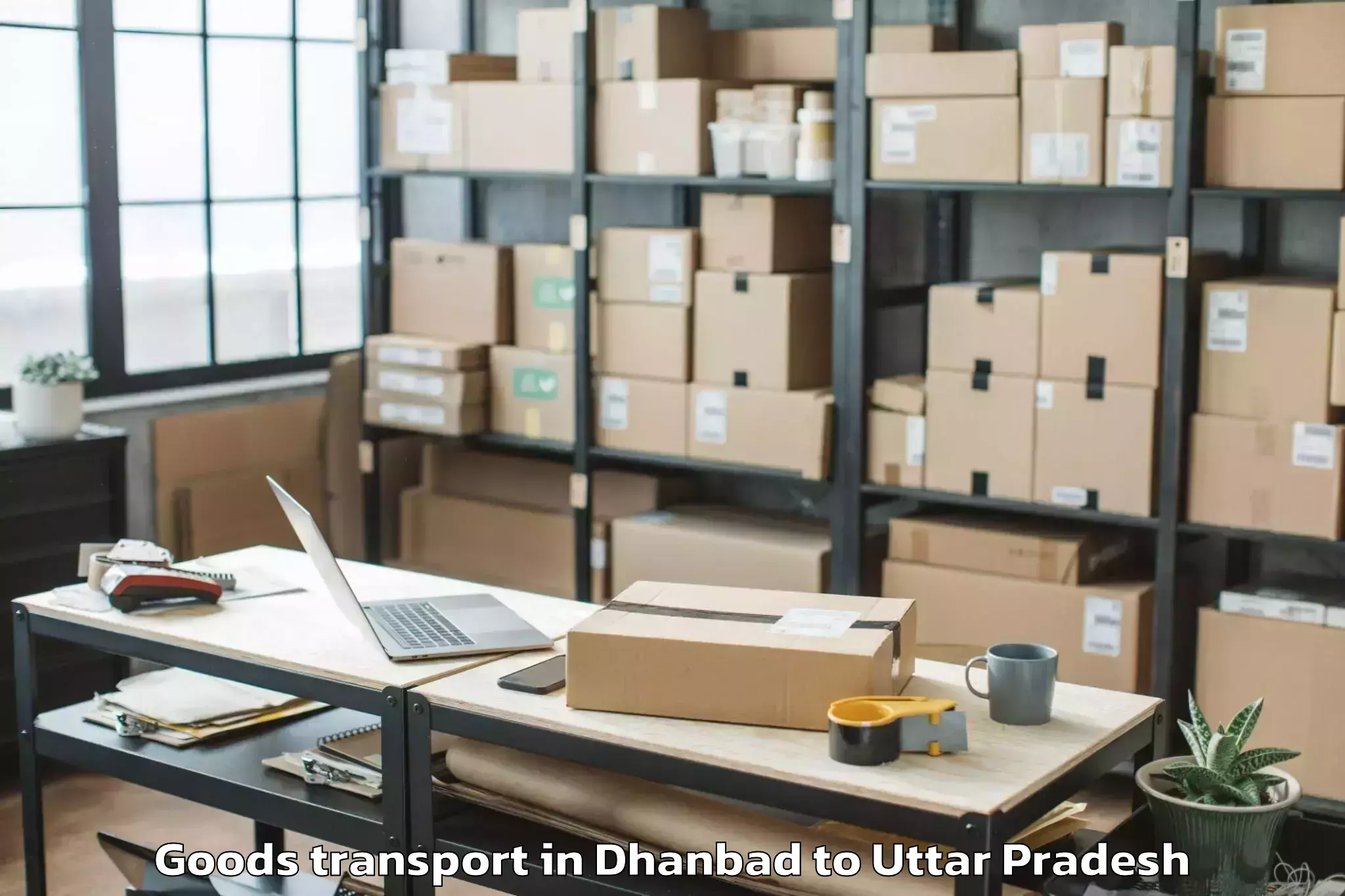 Top Dhanbad to Muhammadabad Goods Transport Available